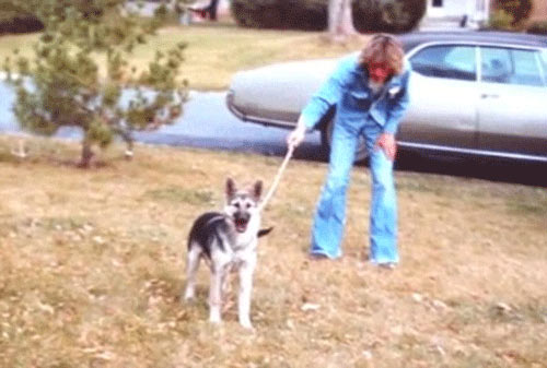 Tiết lộ động trời của vị tiến sĩ giả - 3