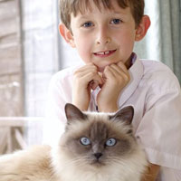 Phi thường - kỳ quặc - "Thầy" mèo dạy nói cho cậu bé câm