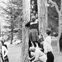 Phi thường - kỳ quặc - Những kỷ lục "khủng" về… nhồi nhét