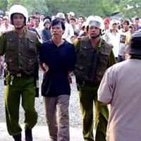 “Đồi hoa mai” kỳ án (Kỳ 2)