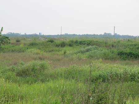 Cảnh hoang vu ở "siêu đô thị" Mê Linh - 8