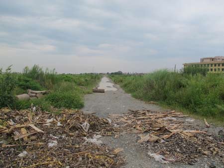 Cảnh hoang vu ở "siêu đô thị" Mê Linh - 9