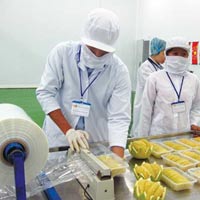 Thị trường - Tiêu dùng - Bưởi Năm Roi xuất cảnh có tên "hoang dại"