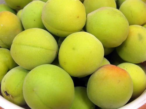 Tháng bảy, phảng phất hương mơ rừng - 2