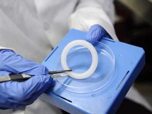 Thử nghiệm vòng ngừa HIV cho phụ nữ - 1