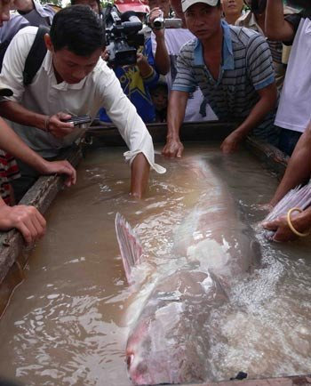 Động vật hoang dã: Cứu là... chết - 2