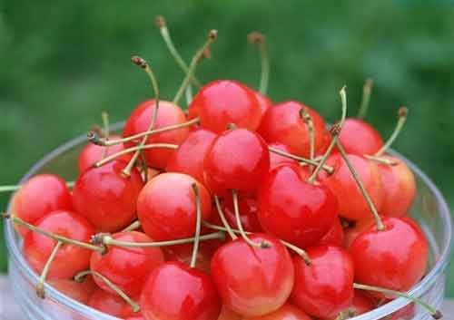 6 loại quả giúp giải độc cơ thể - 2