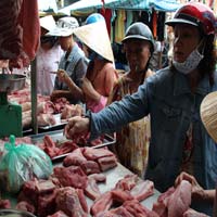 Thị trường - Tiêu dùng - Người nuôi heo lỗ, người bán lãi cao