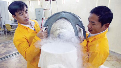 100 giờ trong lò phản ứng hạt nhân Đà Lạt - 4