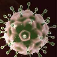 Sức khỏe đời sống - Thuốc ung thư có thể giúp điều trị HIV