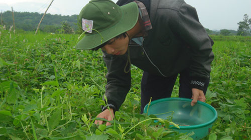 Gặp 2 chàng thủ khoa xứ Quảng - 2