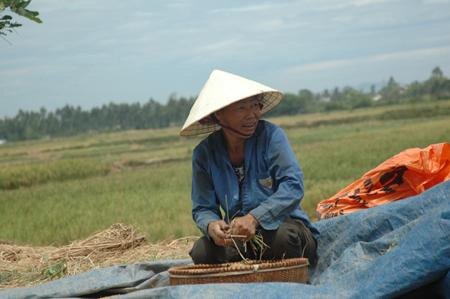 Xã nghèo ở Thanh Hóa chỉ có... hơn 200 cán bộ - 1