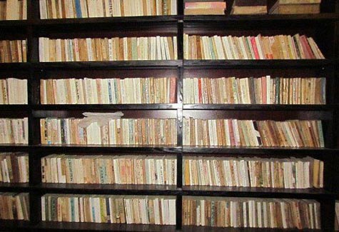 Giám đốc công ty BĐS sở hữu hơn... 20 tấn sách - 2