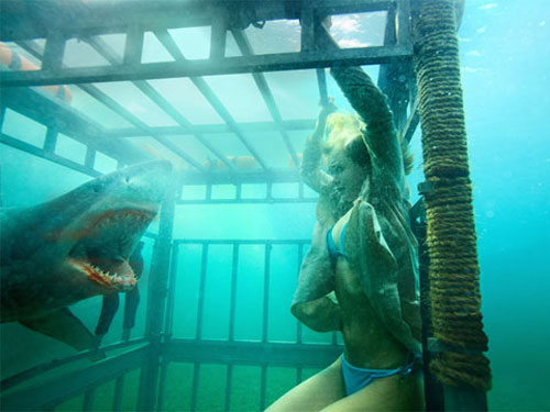 Trailer phim: Shark Night - 4