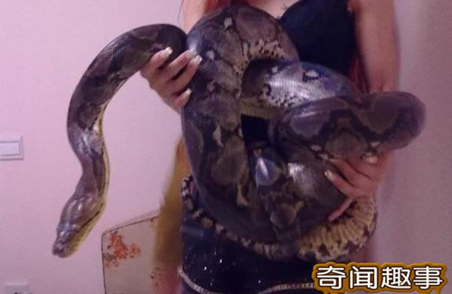 Cô gái đùa giỡn với mãng xà - 5