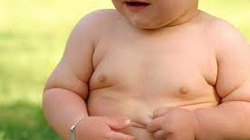 Trẻ béo phì dễ bị vô sinh khi trưởng thành - 1