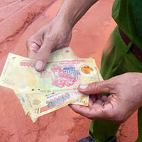 Tin tức trong ngày - Giám định tiền rơi vãi trên quốc lộ 1A