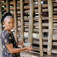 Tin tức trong ngày - Mẹ đóng chuồng nhốt hai con thích khoả thân