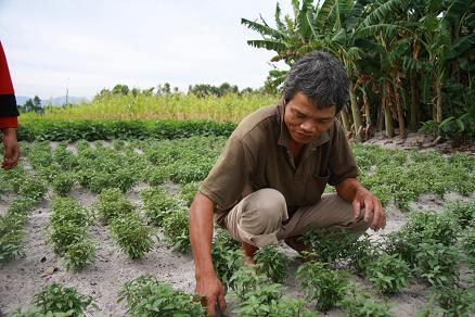 Xã có 150 người mù - 2