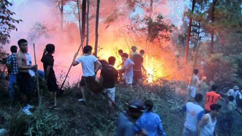 Cháy rừng dữ dội giữa thành phố Vinh - 1