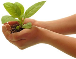 Tin tức trong ngày - Thứ bậc trí tuệ toàn cầu của VN: SOS