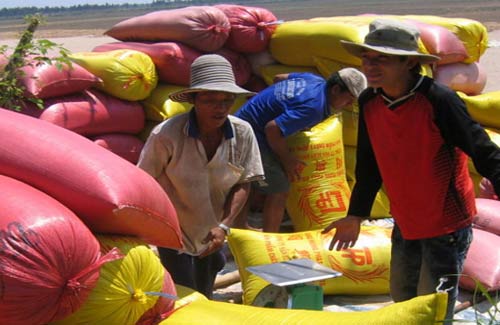 Đề xuất mua tạm trữ 2,5 triệu tấn gạo/năm - 1