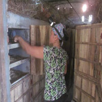 Thị trường - Tiêu dùng - Làng nuôi rắn "rủ" nhau thoát nghèo