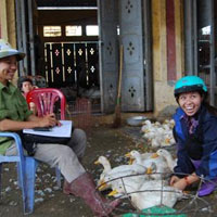 Tin tức trong ngày - Sau công điện, Hà Vỹ sạch bóng gà lậu