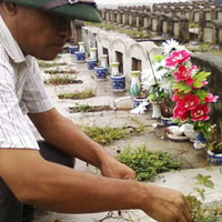 Tin tức trong ngày - Sống dư dả nhờ... nghĩa trang