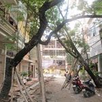 Tin tức trong ngày - Xử lý sưa đổ: Phải chờ... ý kiến