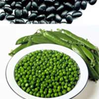 Sức khỏe đời sống - Ngày "xì hơi” hàng chục lần có phải là bệnh?
