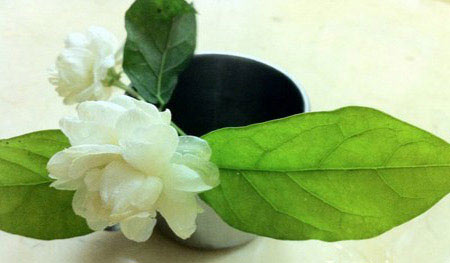 7 loại tinh dầu có lợi cho sức khỏe - 1