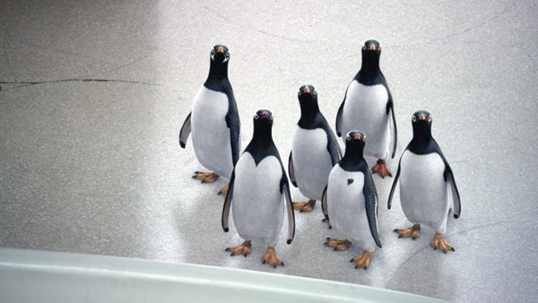 Trailer phim: Mr. Popper's Penguins - 2