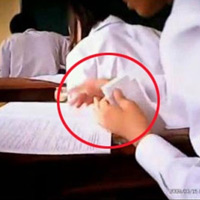 Tin tức trong ngày - Vụ Đồi Ngô: Kỷ luật 42 cán bộ, giáo viên