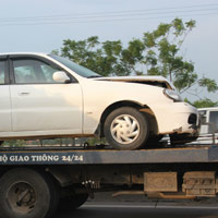 Tin tức trong ngày - Bò dạo chơi trên cao tốc, 7 ôtô đâm liên hoàn