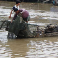 Tin tức trong ngày - Đồng Tháp: Truy tìm cá dữ cắn trẻ tắm sông