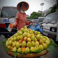 Thị trường - Tiêu dùng - Rau quả Trung Quốc giá... “trên trời”