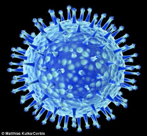 Virut ăn vi khuẩn tạo ra điện cho ĐTDĐ - 1