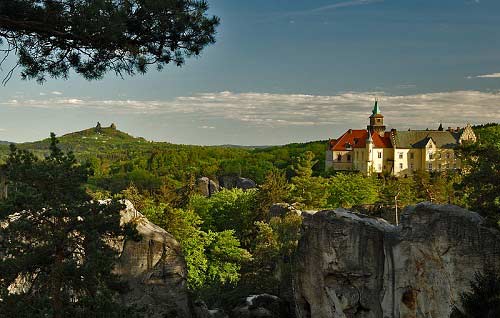 Thiên đường ẩn trong cánh rừng già ở CH Séc - 4