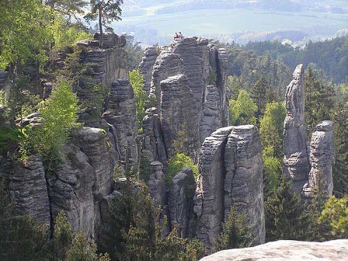 Thiên đường ẩn trong cánh rừng già ở CH Séc - 6