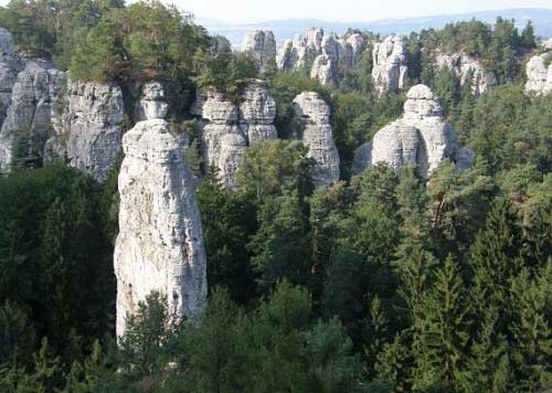 Thiên đường ẩn trong cánh rừng già ở CH Séc - 7