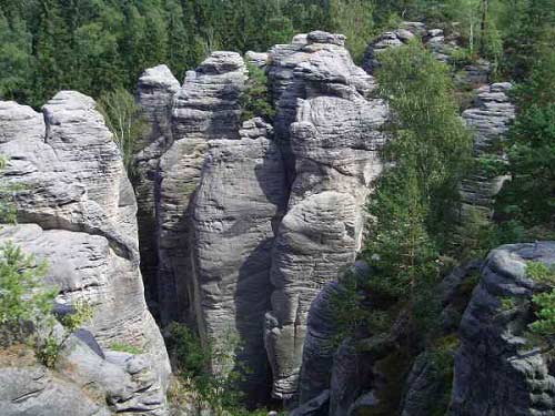 Thiên đường ẩn trong cánh rừng già ở CH Séc - 11