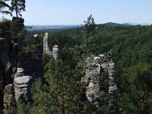 Thiên đường ẩn trong cánh rừng già ở CH Séc - 12