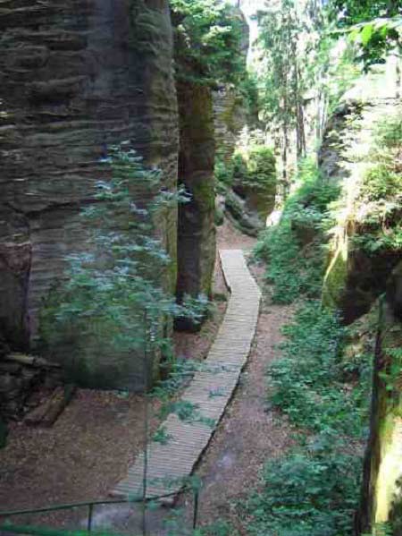 Thiên đường ẩn trong cánh rừng già ở CH Séc - 13