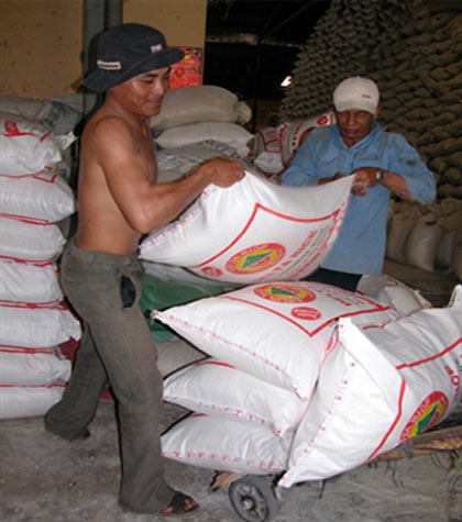 Xuất khẩu gạo bắt đầu tăng tốc - 1