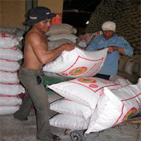 Thị trường - Tiêu dùng - Xuất khẩu gạo bắt đầu tăng tốc