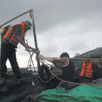 Tin tức trong ngày - Bão giật cấp 12 uy hiếp Quảng Ninh