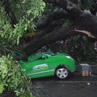 Tin tức trong ngày - Bão, cây to đè nát taxi gây chết người