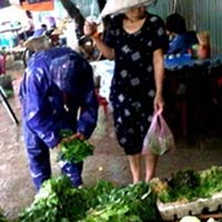 Thị trường - Tiêu dùng - Mưa bão: Giá thực phẩm tại Hà Nội vẫn ổn định