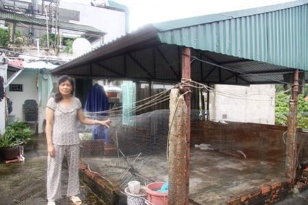 "Khu tập thể khốn khổ" cạnh Hồ Gươm - 4